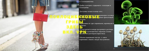 apvp Гусиноозёрск