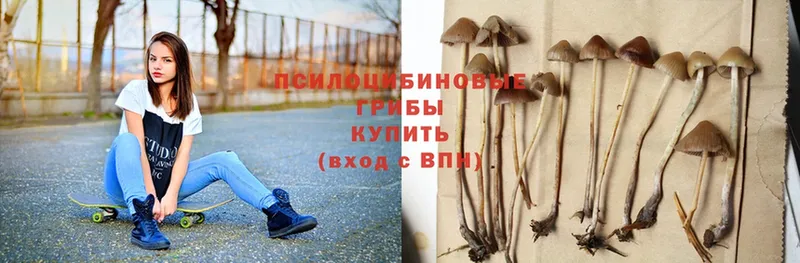 Псилоцибиновые грибы MAGIC MUSHROOMS  продажа наркотиков  Алдан 